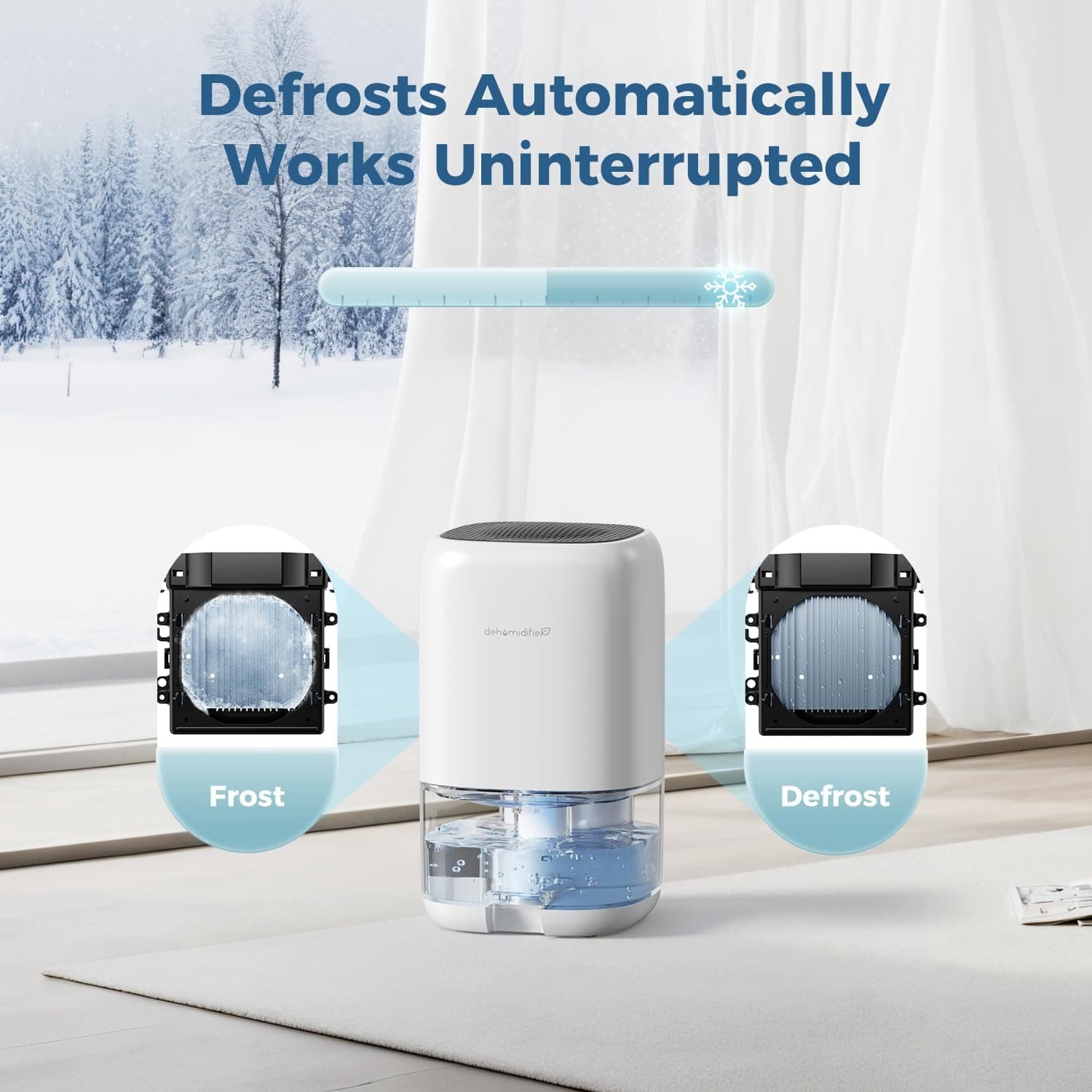 The Quiet Extraction: A Small Machine Against the Slow Decay of Moisture - Image 2