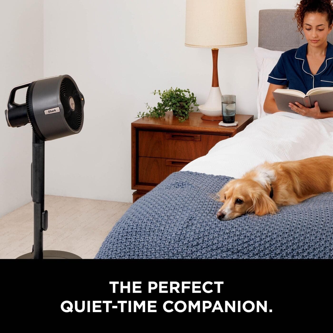 Wind and Water, Unbound: The Portable Climate of the Modern Age - Image 2