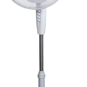 The Upright Breeze: A Quiet Monument to Everyday Comfort