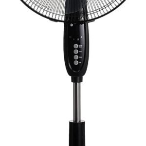 The Algorithm of the Breeze: When Simplicity Learns to Think