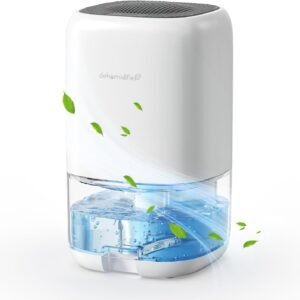 The Quiet Extraction: A Small Machine Against the Slow Decay of Moisture