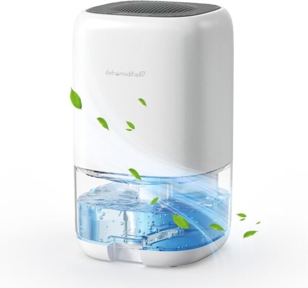 The Quiet Extraction: A Small Machine Against the Slow Decay of Moisture