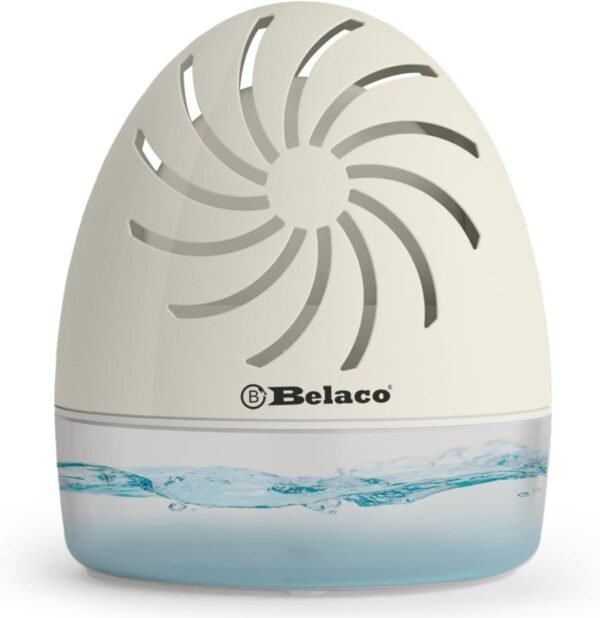 The Stillness That Dries: A Silent Geometry of Absorption