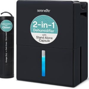 The Weight of the Air: When Dryness Becomes a Form of Clarity