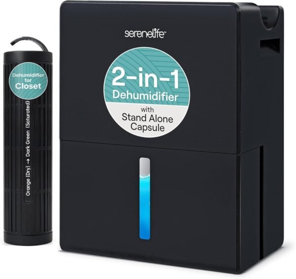 The Weight of the Air: When Dryness Becomes a Form of Clarity